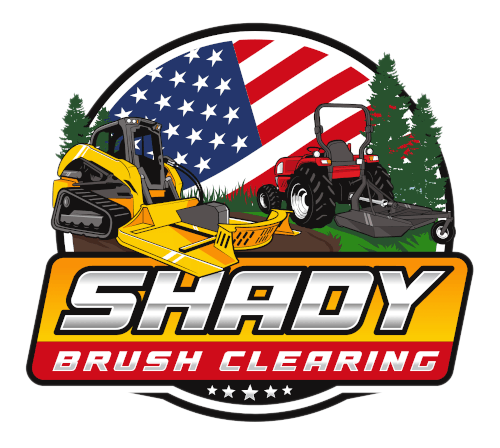 Shady Brush Clearing